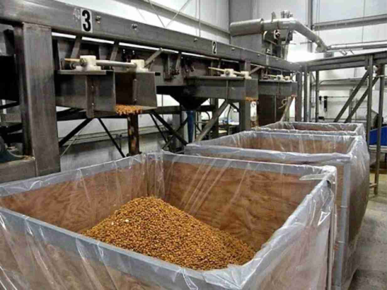 Agro-Produce Processing